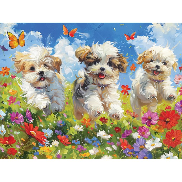 Puzzle Radost