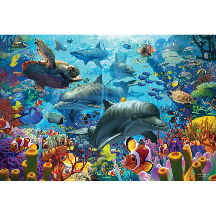 Puzzle Coral Sea