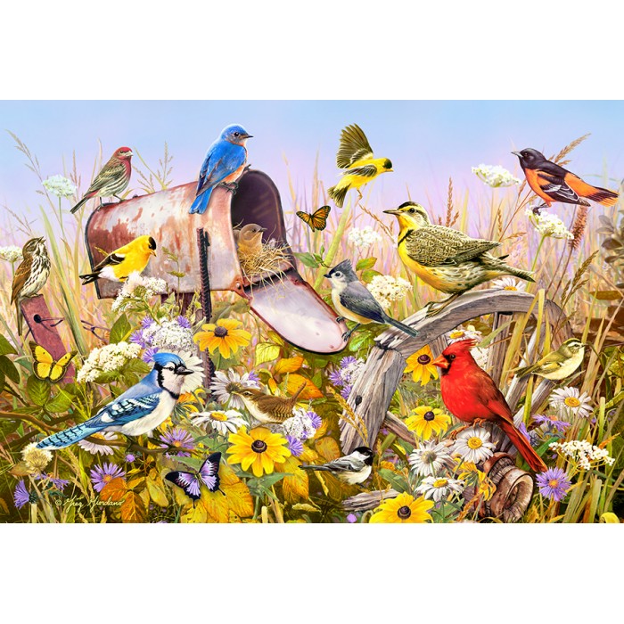 Puzzle Field Song