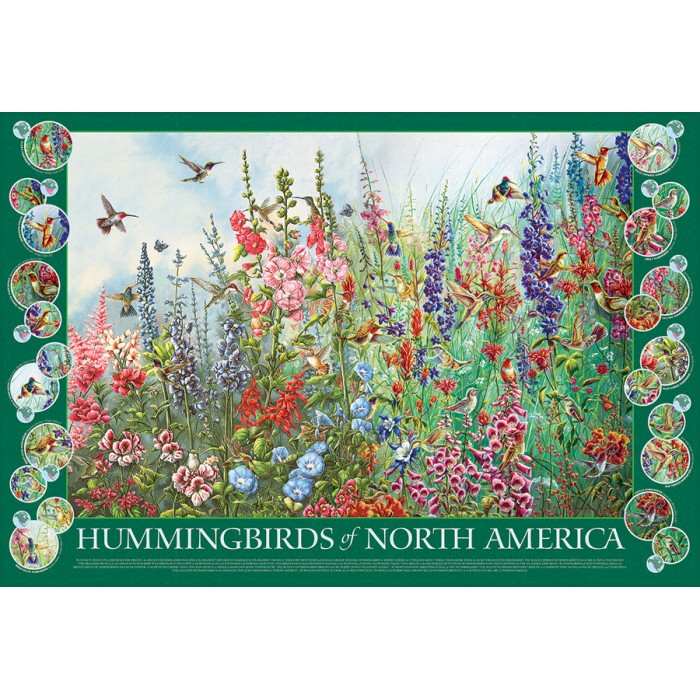 Puzzle Hummingbirds of North America
