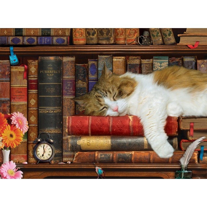 Puzzle XXL dijelovi - The Cat Nap