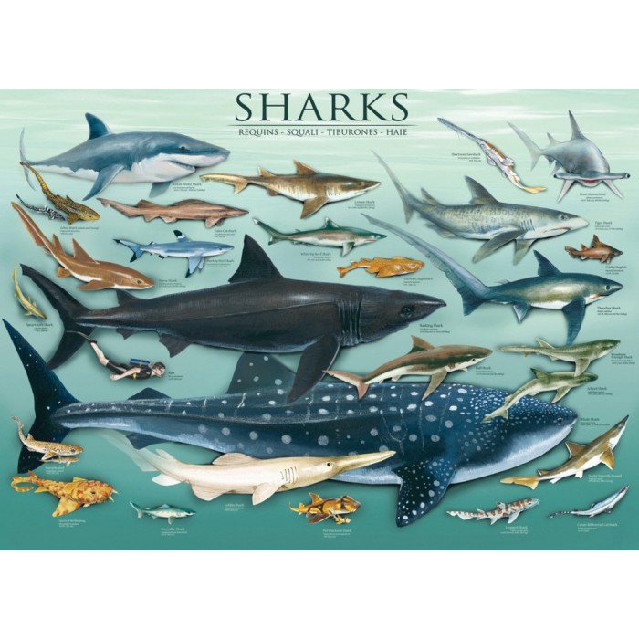 Puzzle Morski psi