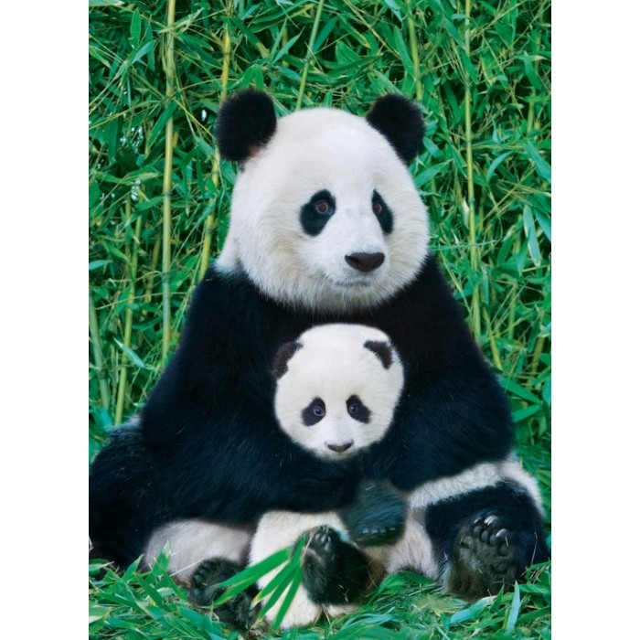 Puzzle Porodica pandi