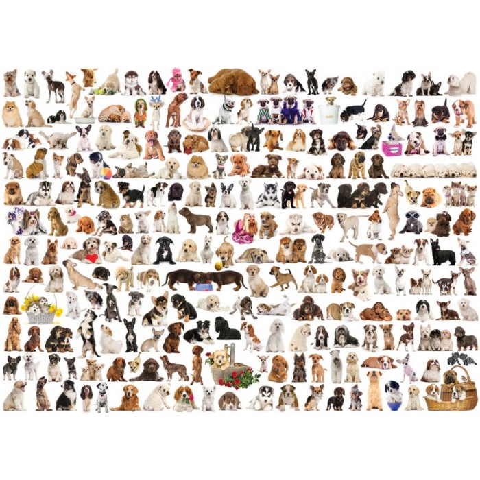 Puzzle Svijet pasa
