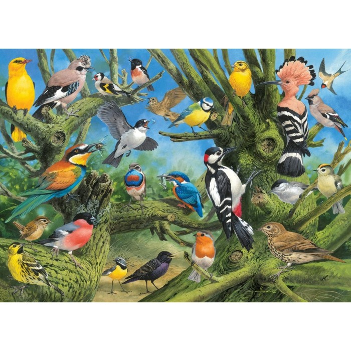 Puzzle Joahn Francis - Garden Birds