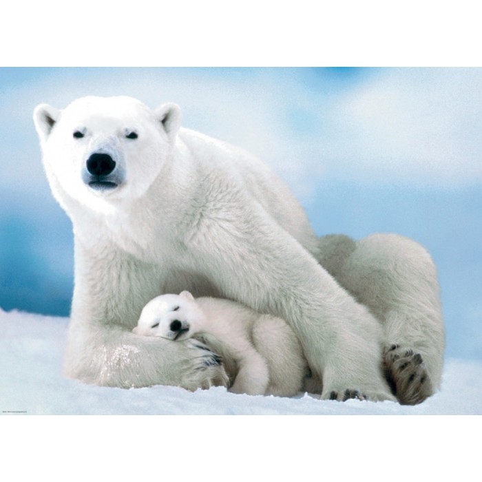 Puzzle Polarni medvjed s bebom