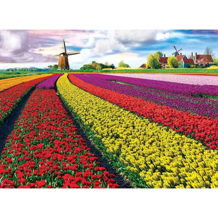 Puzzle Polja tulipana