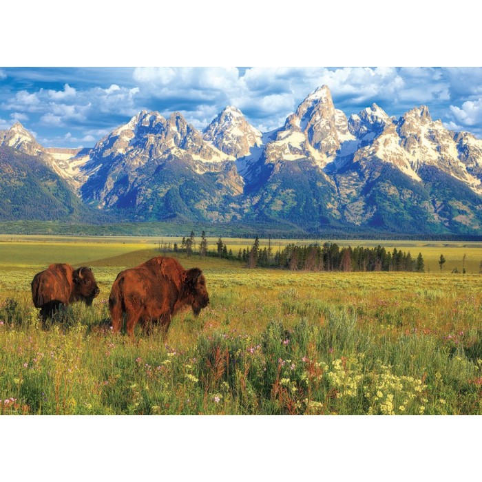 Puzzle Nacionalni park Grand Teton