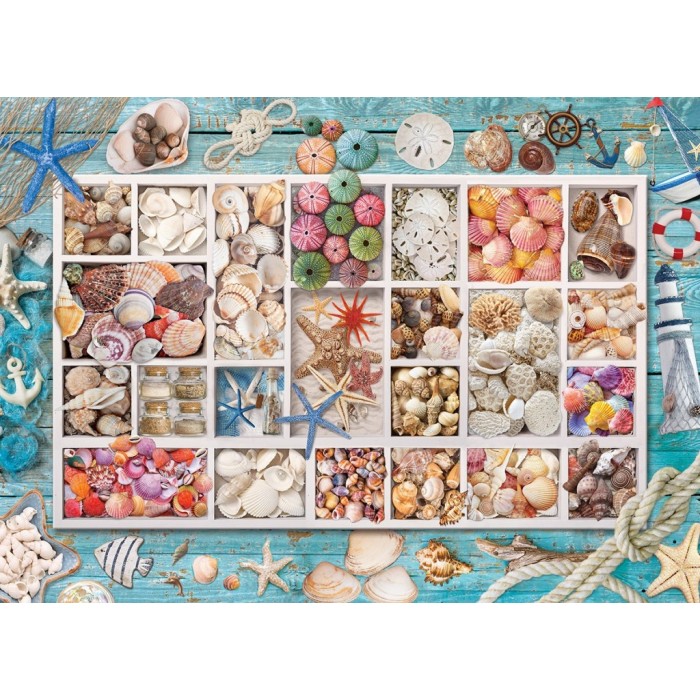 Puzzle Seashell Collection