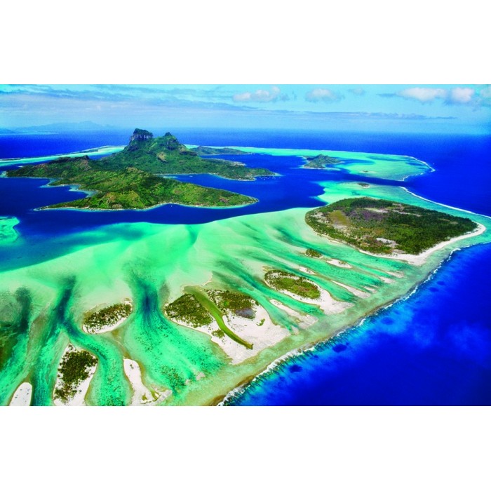 Puzzle Save the Planet Collection - Koraljni greben