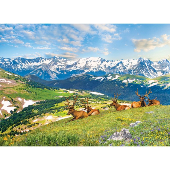 Puzzle Planinski los