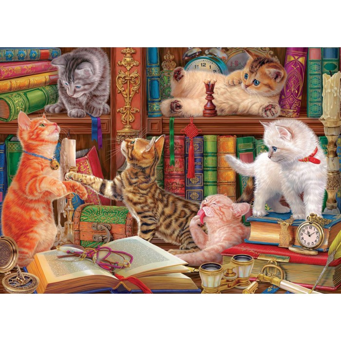 Puzzle Mačići u biblioteci