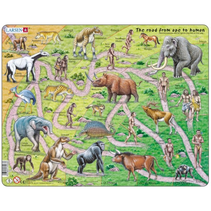 Puzzle s okvirom - The Road From Ape to Human (na engleskom)