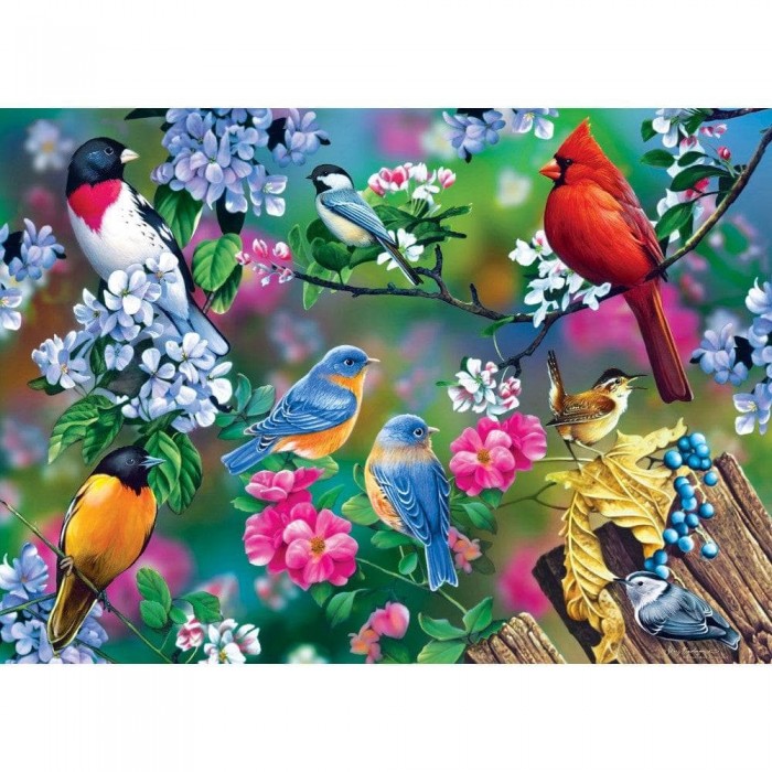 Puzzle Audubon - Kolaž ptica pjevica