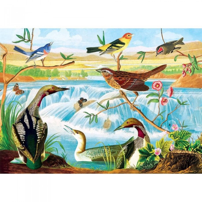 Puzzle Audubon - Ptice na potoku