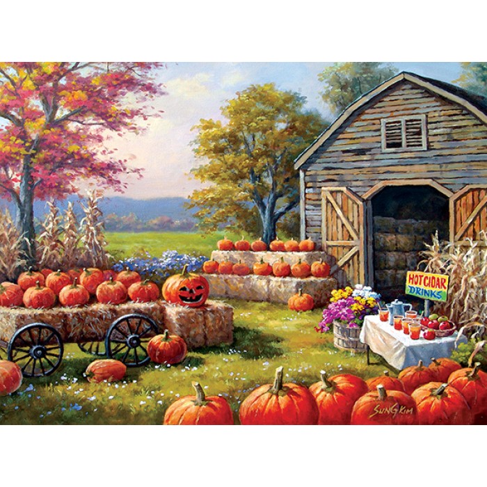 Puzzle Pumpkins for Sale