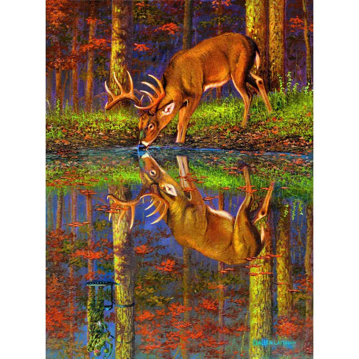 Puzzle Šta je ispod nas?