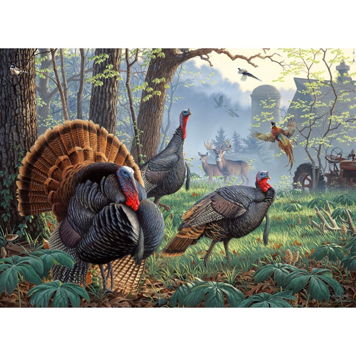 Puzzle Larry Zach - Old Tom's Farm