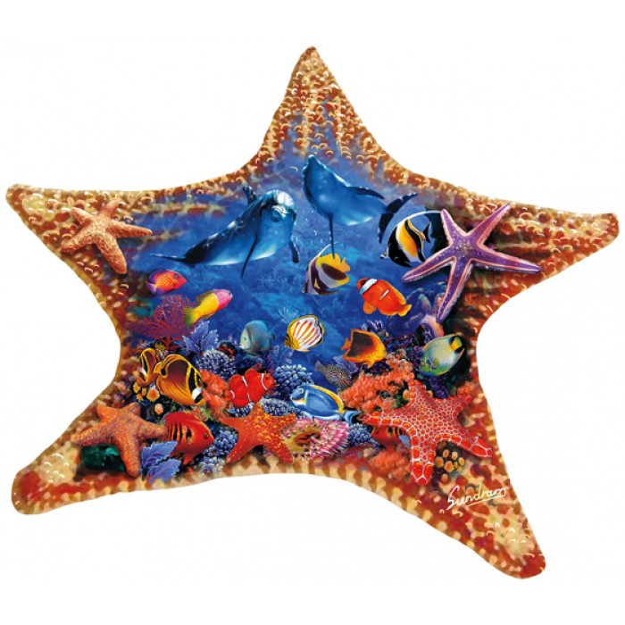 Puzzle Steve Sundram - Starfish