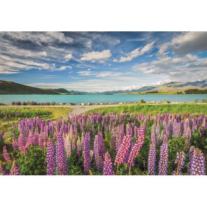 Puzzle Lupine na Lake Tekapo