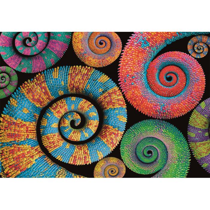 Puzzle Colorboom Curly Tails