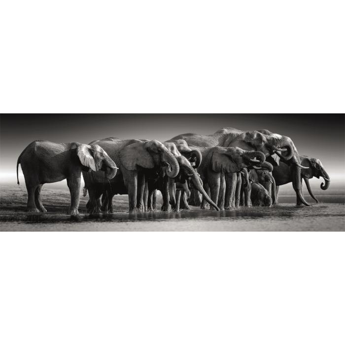 Puzzle Krdo divova
