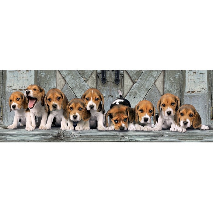 Puzzle Beagles