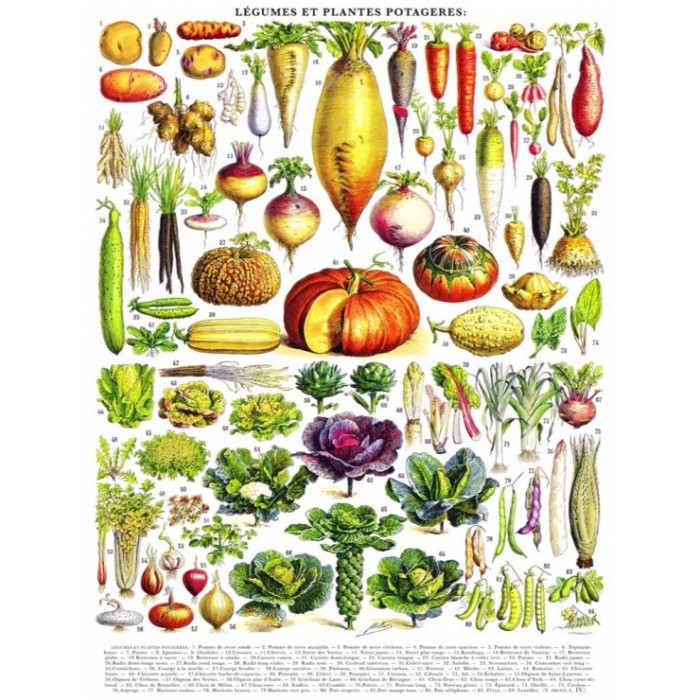 Puzzle Vegetables - Légumes