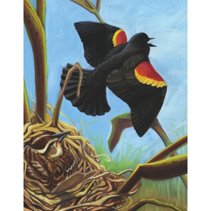 Puzzle Red-winged Blackbird