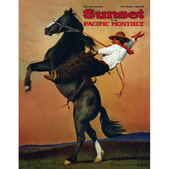 Puzzle Bucking Bronco