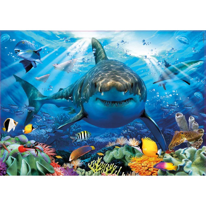 Puzzle Great White Shark