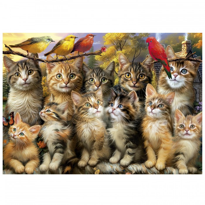 Puzzle Kittens and Birds