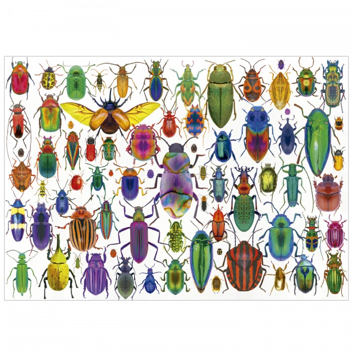Puzzle Beetles
