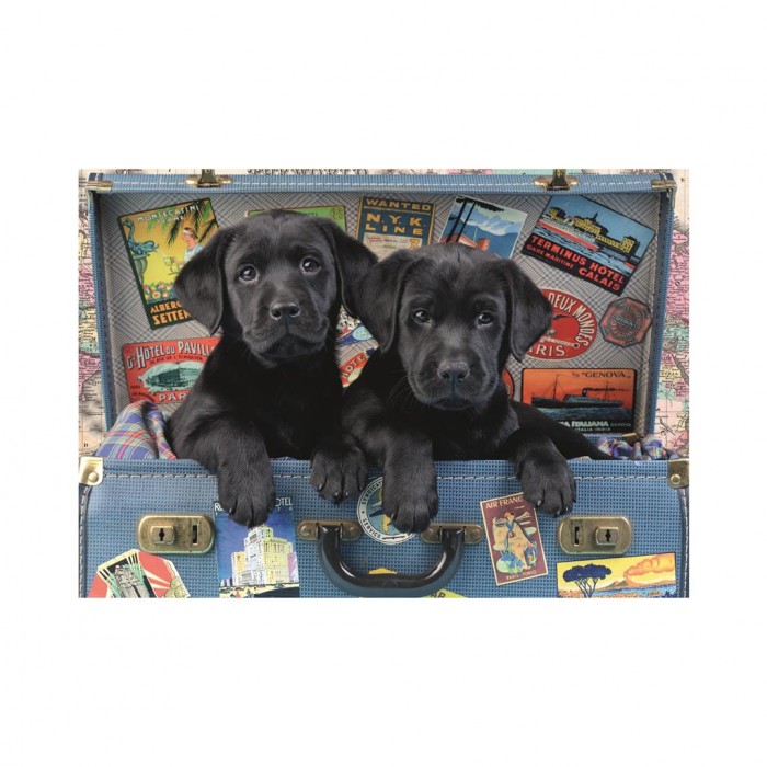 Puzzle Puppies in a Trunk