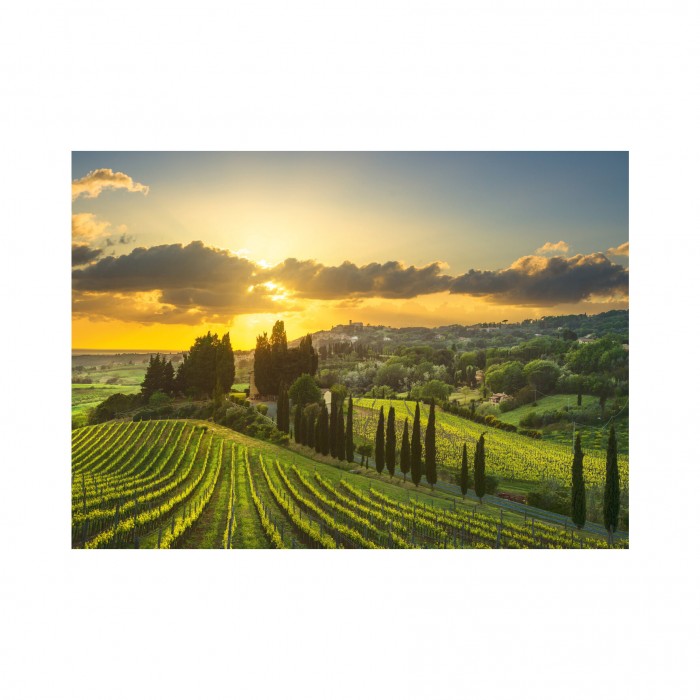 Puzzle XL - Vinograd Maremma