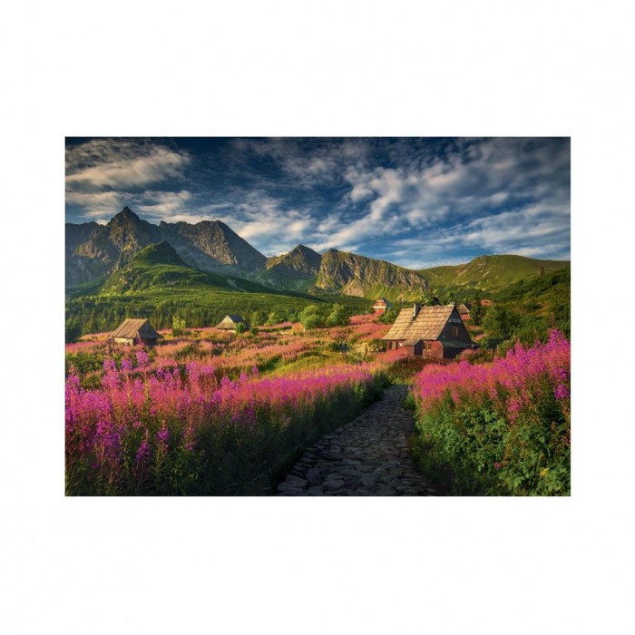 Puzzle Dolina Gasienica