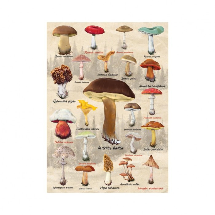 Puzzle Kolaž gljiva