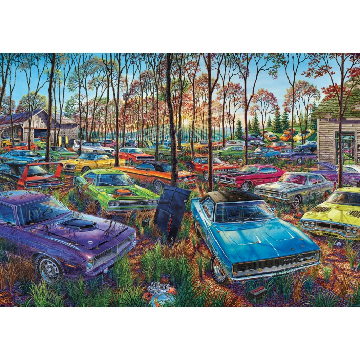 Puzzle Auto Graveyard