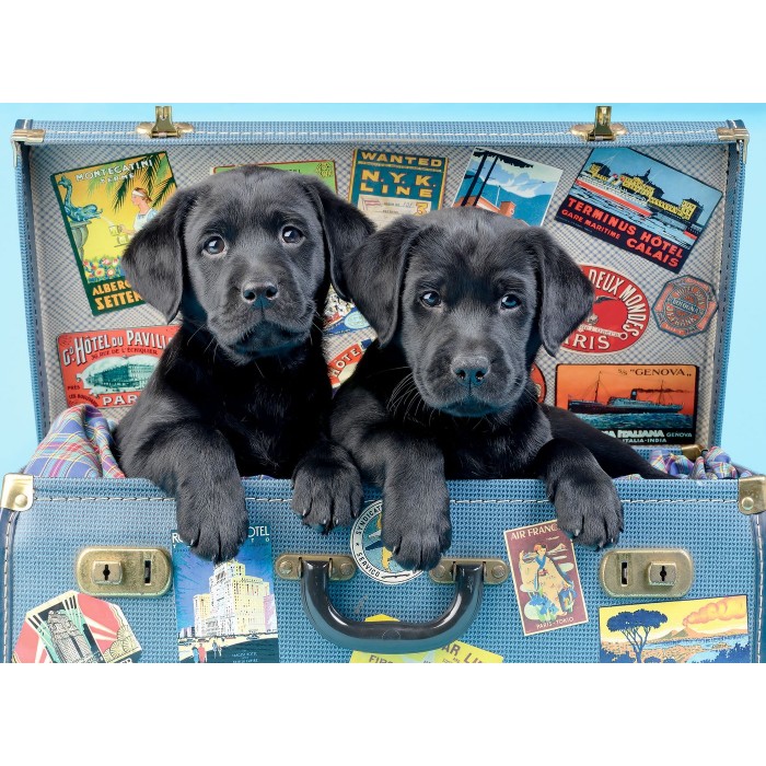Puzzle Travel Labs