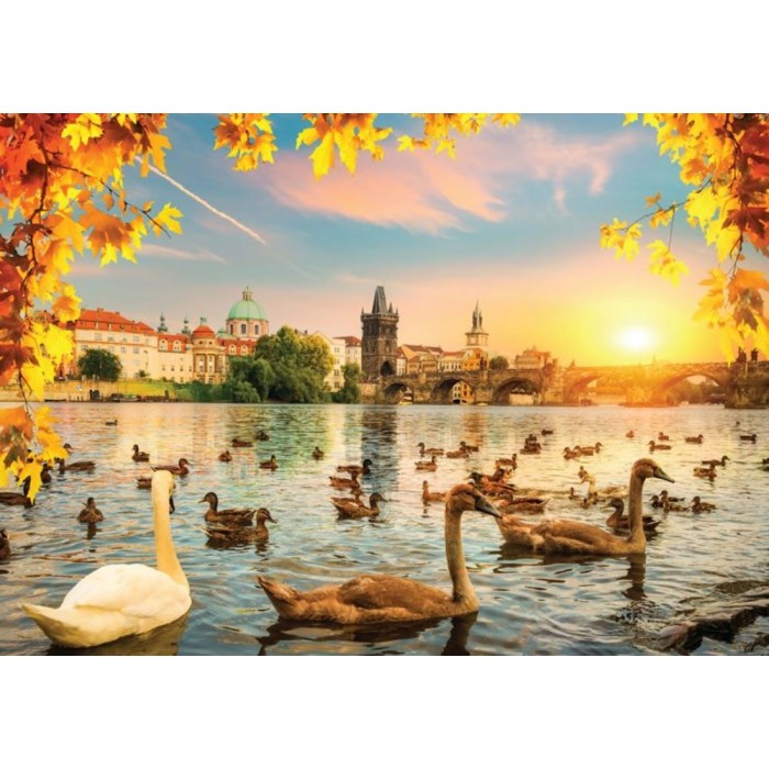 Puzzle Swans near Charles Bridge