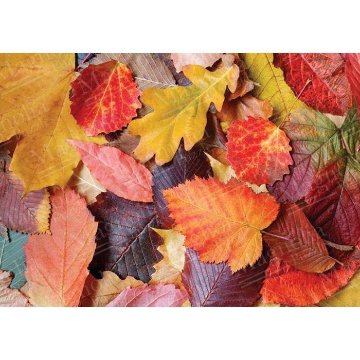 Puzzle Colorful Leaves