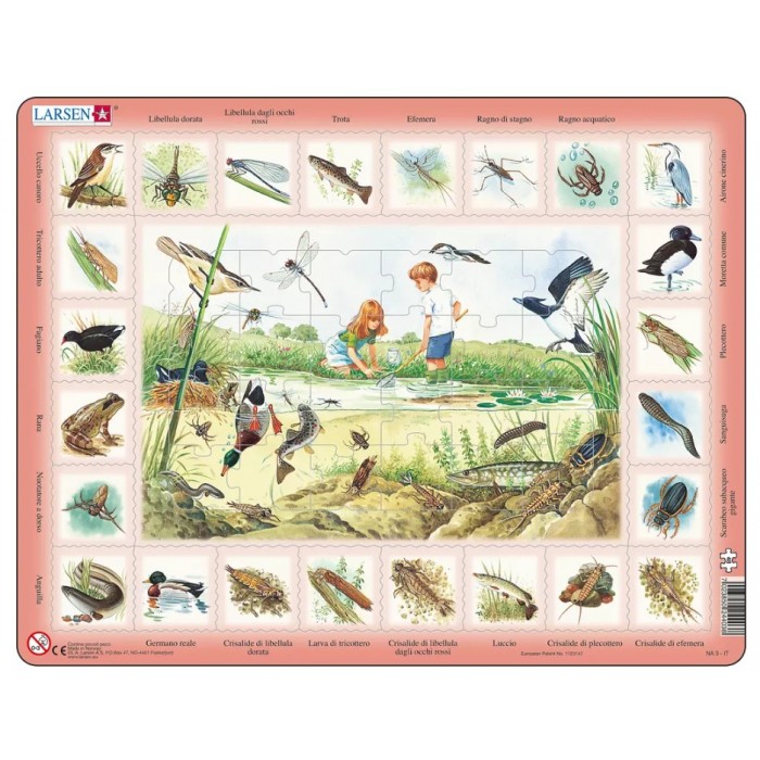 Puzzle s okvirom - Morske životinje (na italijanskom)